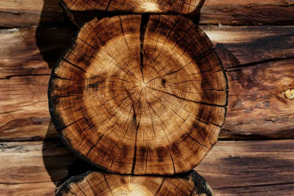 log home restoration repair services wisconsin scaled